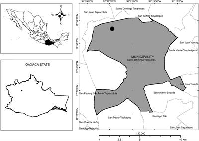 Host tree species effects on long-term persistence of epiphytic orchid populations